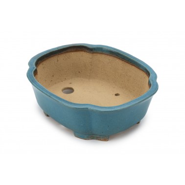 Shibakatsu Bonsai Pot 26163