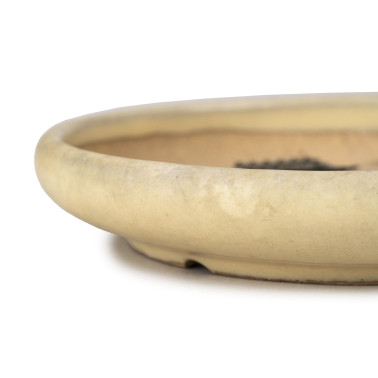 IKKO Bonsai Pot 26199