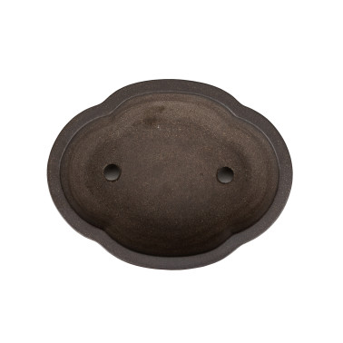 Maceta Bonsái IKKO 26205