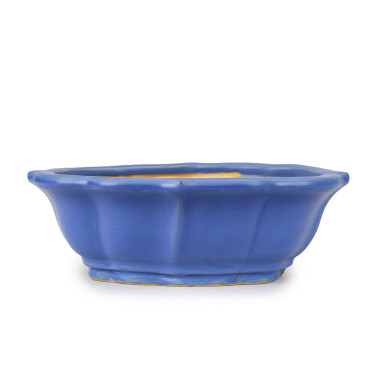 Youzan Eimei Bonsai Pot 26212