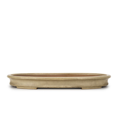 Reihou Bonsai Pot 26235