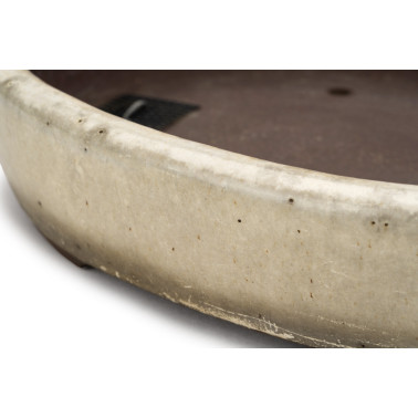 Maceta Bonsái Yamaaki 26237