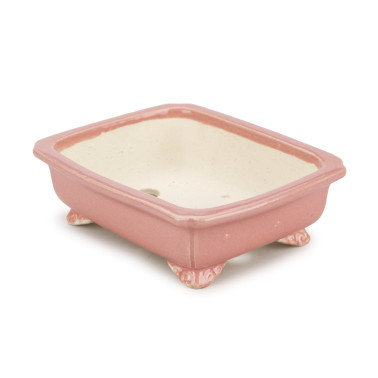 Shibakatsu Bonsai Pot 26251