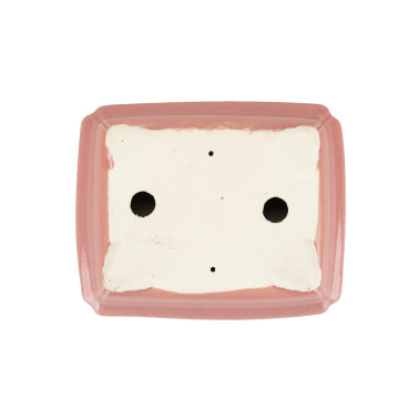 Maceta Bonsái Shibakatsu 26251