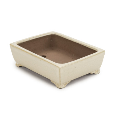 Shibakatsu Bonsai Pot 26252