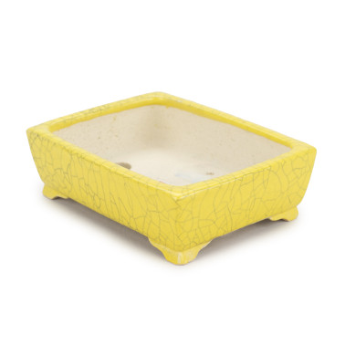 Shibakatsu Bonsai Pot 26253