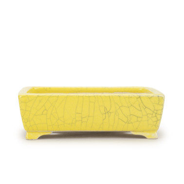 Shibakatsu Bonsai Pot 26253