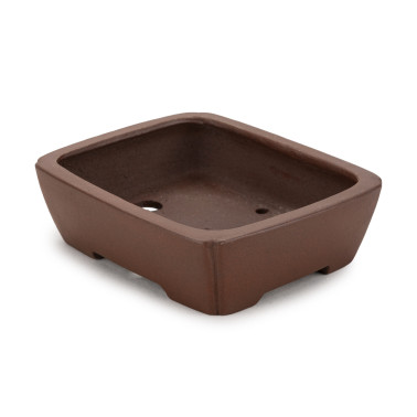 Shibakatsu Bonsai Pot 26254