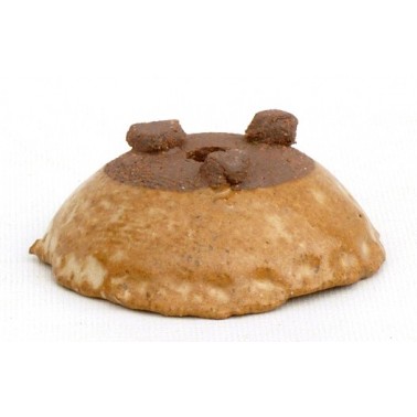 Maceta Bonsái Yokkaichi M04-08A