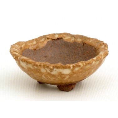 Maceta Bonsái Yokkaichi M04-08A