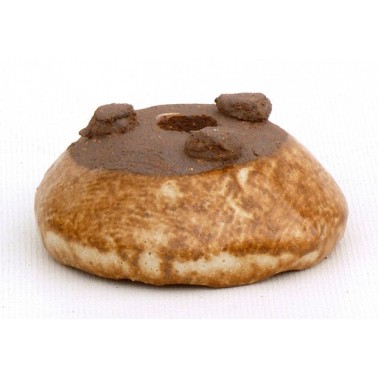 Maceta Bonsái Yokkaichi M04-08A