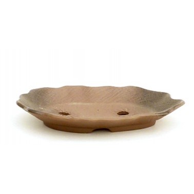 Maceta Bonsái Yokkaichi M10-14