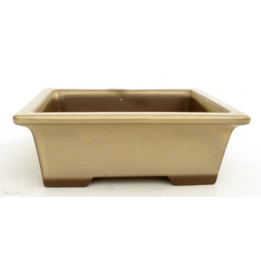 Maceta Bonsái Yokkaichi M19-11B