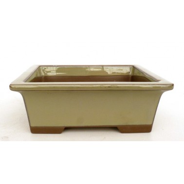 Yokkaichi Bonsai Pot M19-12B