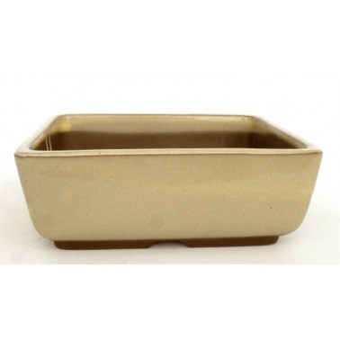 Maceta Bonsái Yokkaichi M19-15C