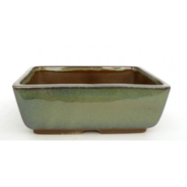 Maceta Bonsái Yokkaichi M19-16A