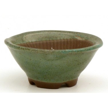 Maceta Bonsái Yokkaichi M28-01BE