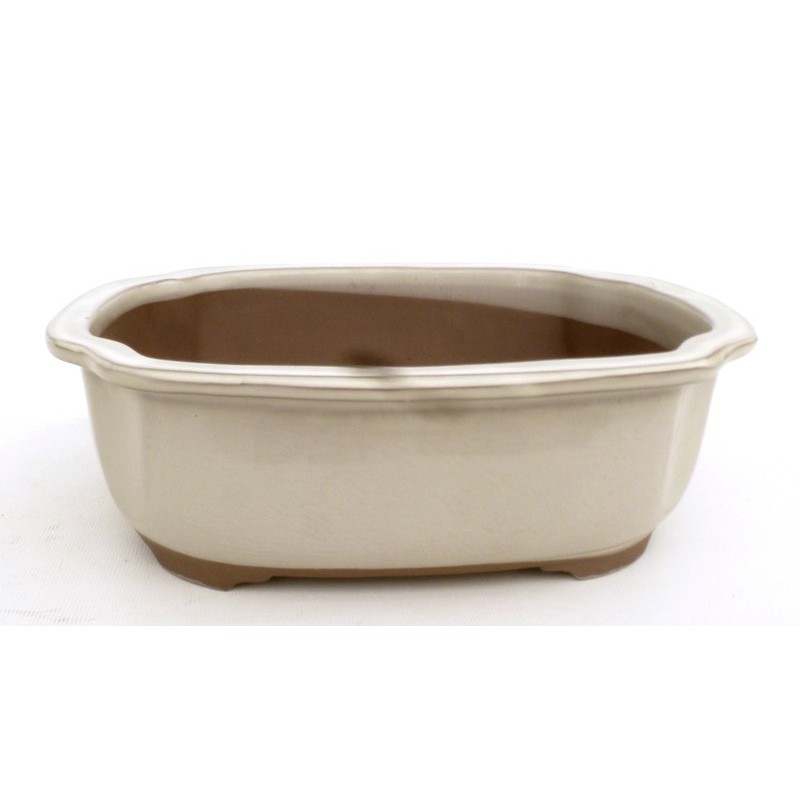 Maceta Bonsái Yokkaichi M29-16A