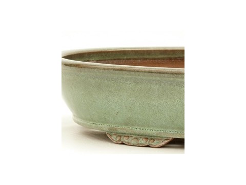 Glazed Bonsai Pots. Bonsai Online Shop